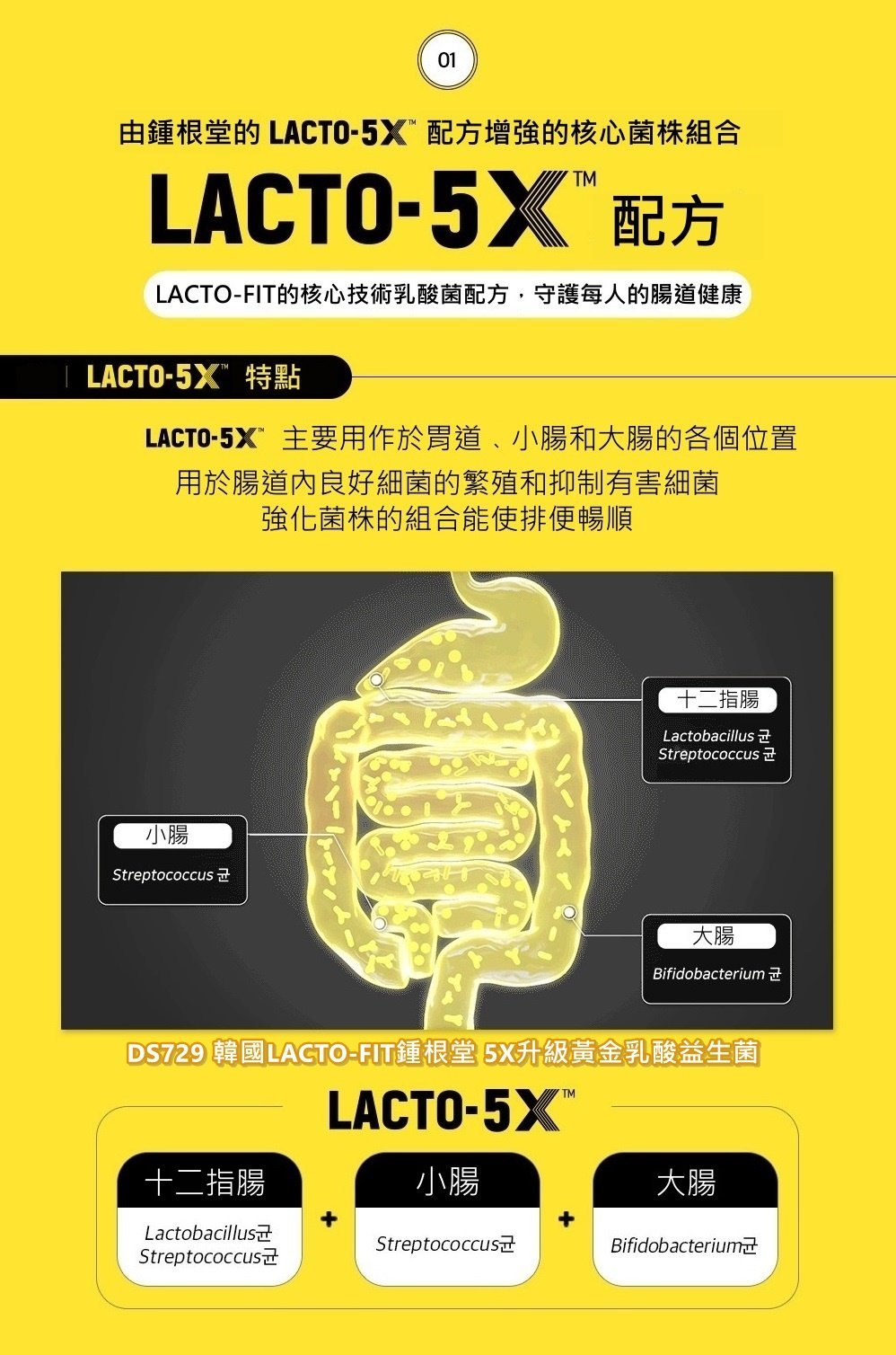 lacto-fit-yellow-5x.jpeg